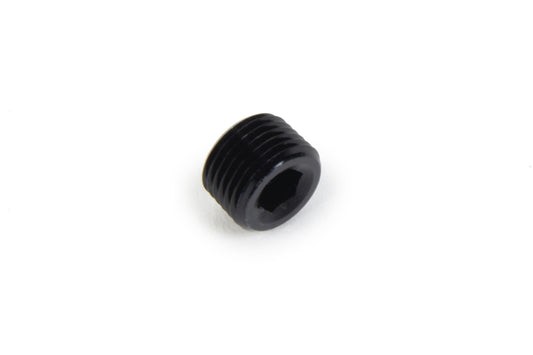 Triple X NPT Allen Plug 1/8