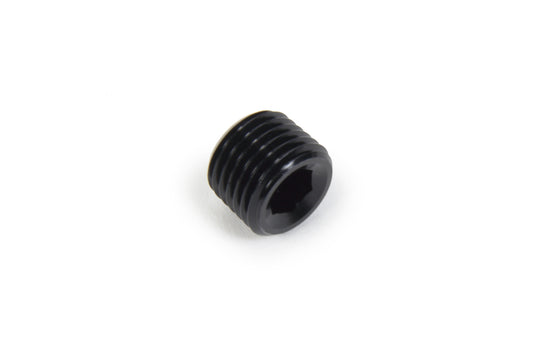 Triple X NPT Allen Plug 1/4