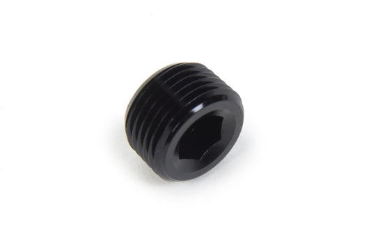 Triple X NPT Allen Plug 3/8