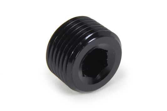 Triple X NPT Allen Plug 1/2
