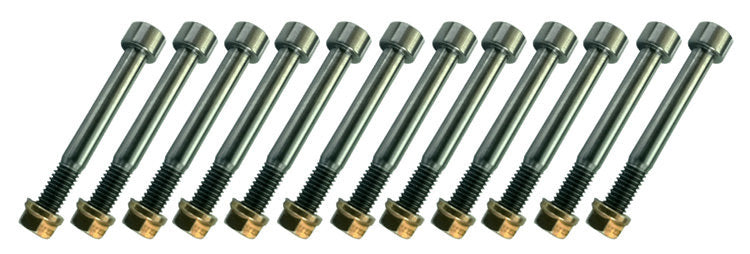 Triple X Nerf Bar Bolt Kit Titanium