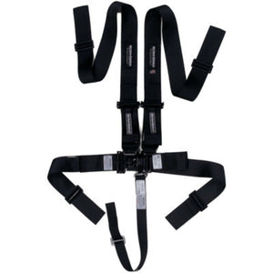 Ultra-Shield 5-Point Harness 3in Pull-Down