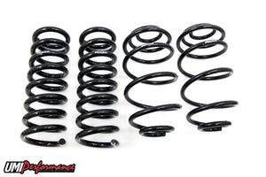 UMI Performance Performance Spring Kit Factory Height 4048